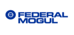 33_Federal-Mogul 33_Federal-Mogul